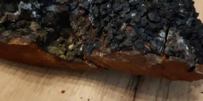 Rezavec šikmý Čaga ( (Inonotus obliguus)