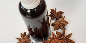 Badyán pravý (Illicium verum)