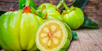 Garcinie kambodžská (Garcinia cambogia)