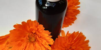 Měsíček lékařský -(Calendula officinális)