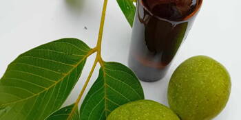 Ořešák královský (Juglans regia) 