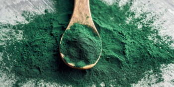 Spirulina (Spirulina platensis)
